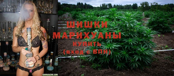 крисы Кинешма