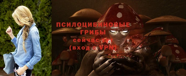 крисы Кинешма