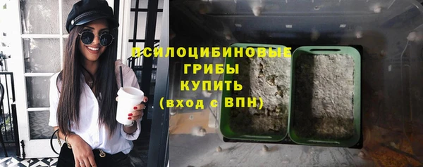 крисы Кинешма